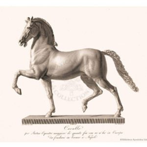 Cavallo (Horse Set) by Antonio Canova
