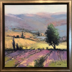 Lavender Fields by Naiming
